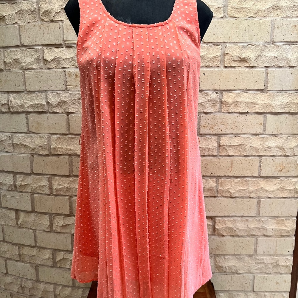 Francesca's Collections Small Sleeveless Swiss Dot Shift Dress Midi